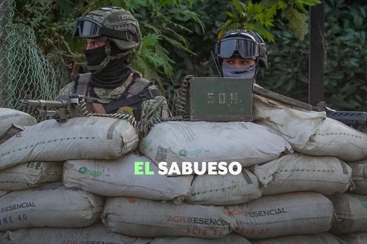 Las fuerzas armadas de México tienen limitaciones para preservar la seguridad nacional: especialistas
