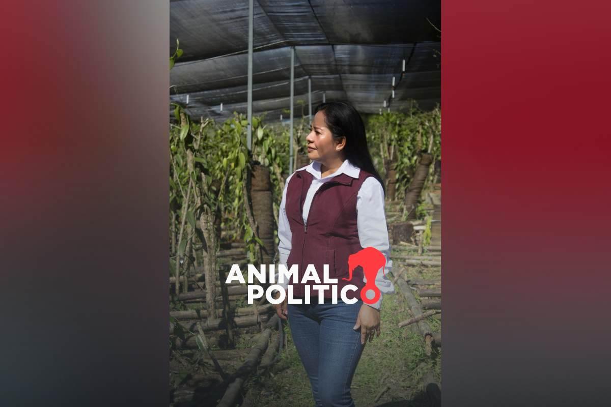 Disparan contra vehículo de alcaldesa de Ayotoxco de Guerrero, Puebla; chofer recibió dos balazos