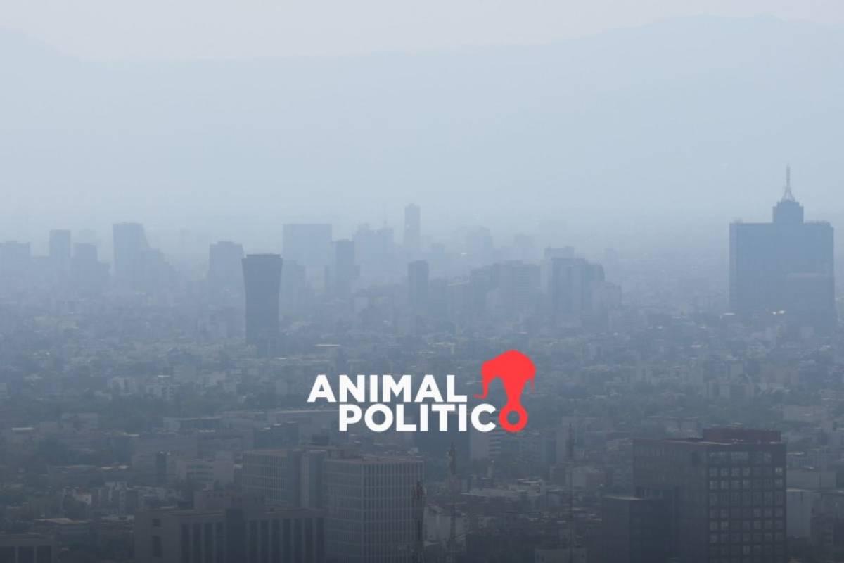 Se mantiene la contingencia ambiental por ozono en el Valle de México; estos autos no circulan el lunes 16 de febrero