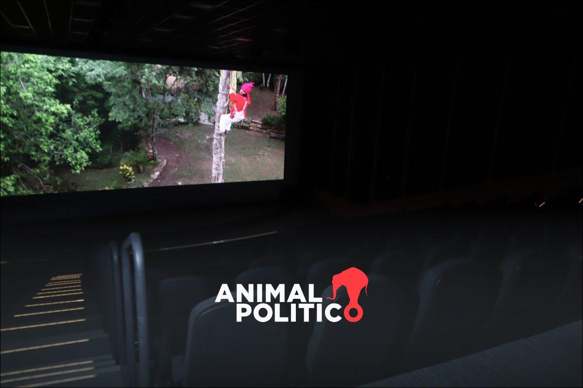 gobierno-10-exhibicion-cine-nacional-salas-regular-voces-ia-doblaje