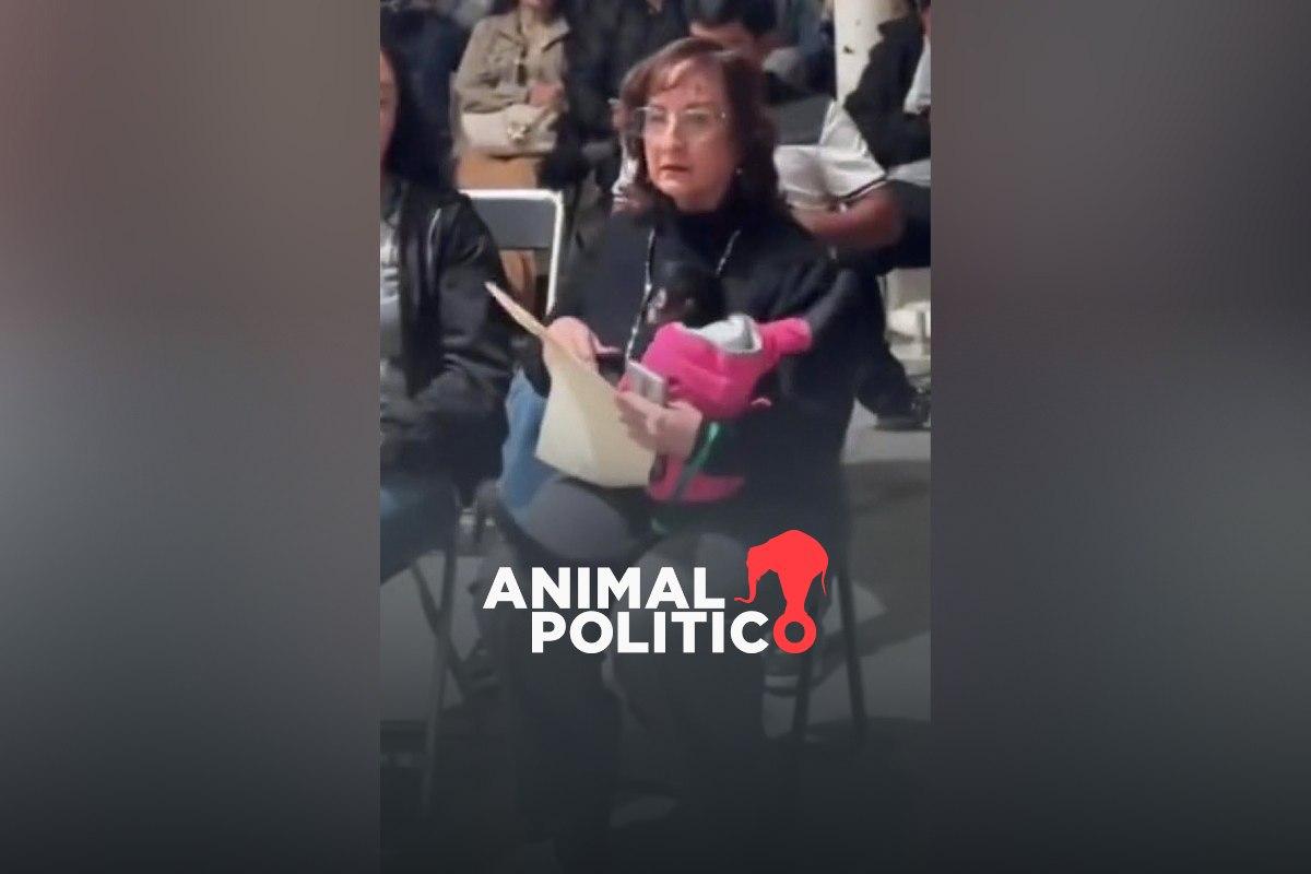 regidora-ocotlan-jalisco-renuncia-polemica-mono-arana