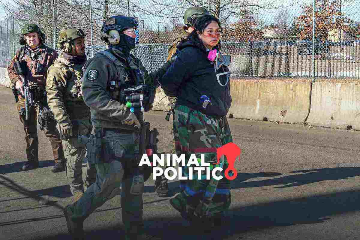 A dos semanas del fin de la Operación Metro Surge, Minnesota sigue bajo la sombra de ICE