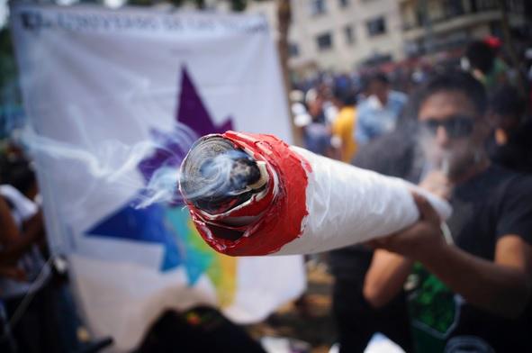 Por qué sí legalizar la mariguana, según 4 exsecretarios