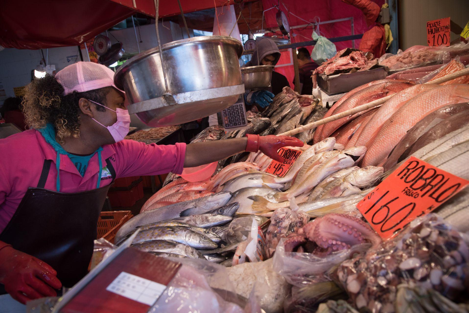 44% de los consumidores de Guadalajara, Ensenada y Mérida son engañados en la compra de pescado