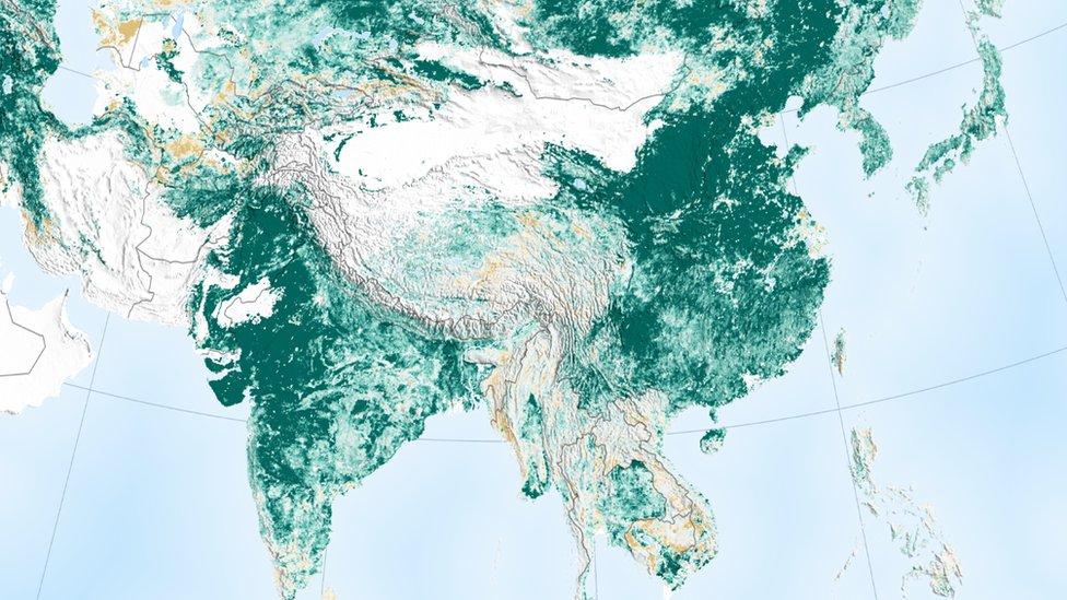 El estudio de la NASA que muestra que la Tierra es “más verde” que hace 20 años gracias a China e India
