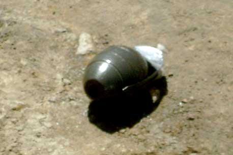 Detienen a tres personas con una granada en el DF