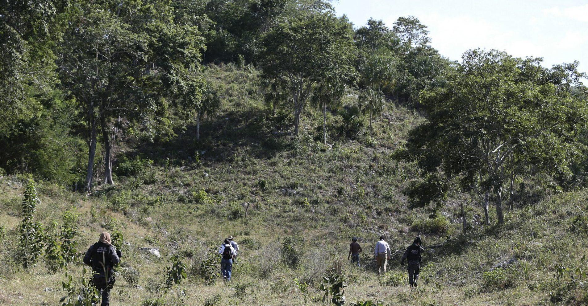 Por felino suelto, el Edomex suspende clases en 13 escuelas de Valle de Bravo