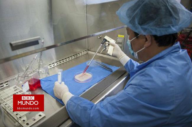 Implantan vaginas cultivadas en laboratorio a cuatro mujeres