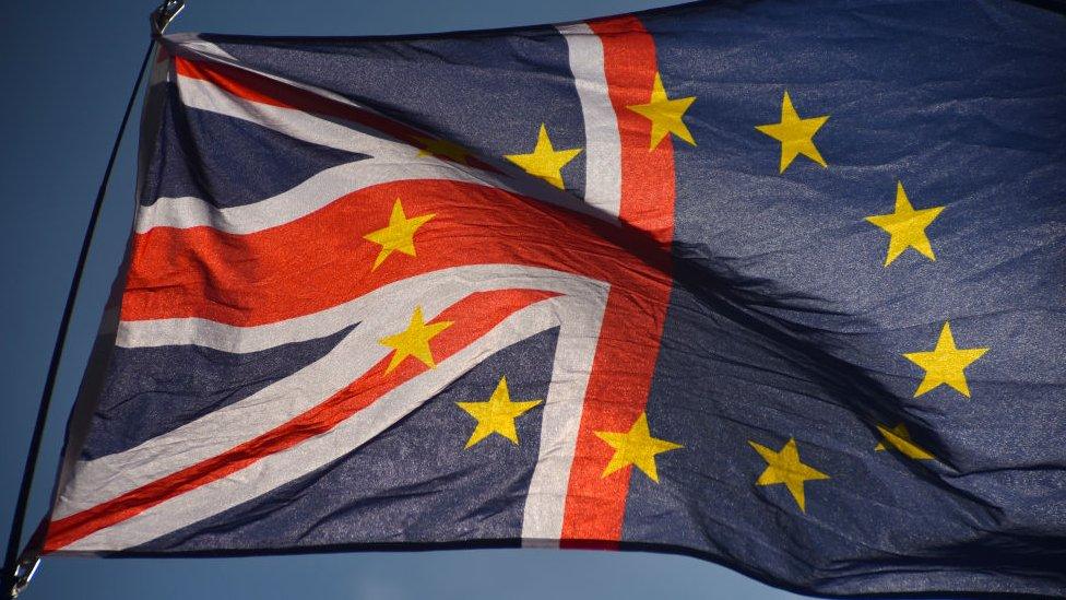 Brexit: qué pasa ahora tras la cancelación del voto decisivo en el parlamento