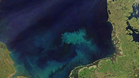 Por qué los océanos se están volviendo más azules (y no es una buena noticia)