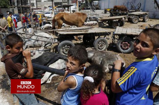 ¿Qué tan fiables son las cifras de muertos en Gaza?