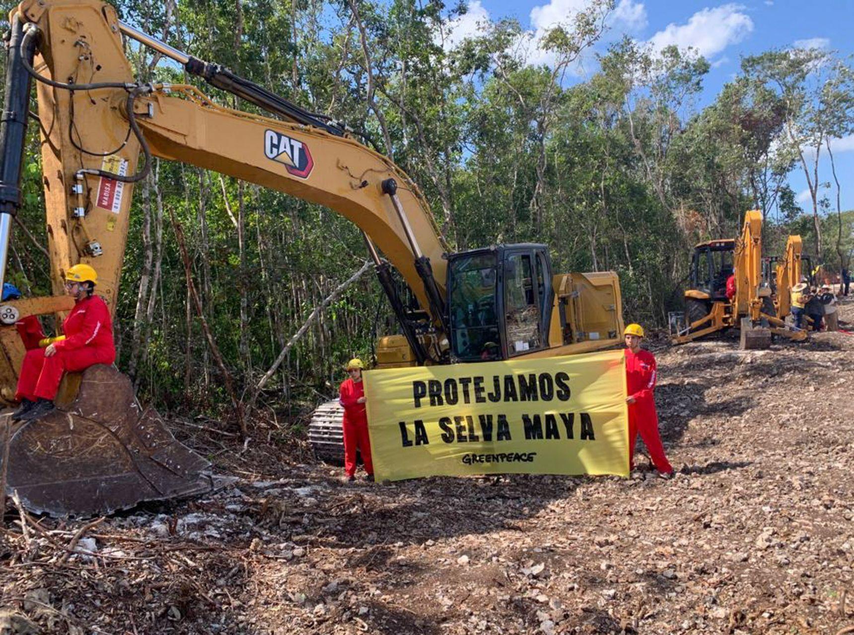 “No somos pseudocientíficos ni conservadores”: investigadores piden a AMLO detener proyecto del Tren Maya