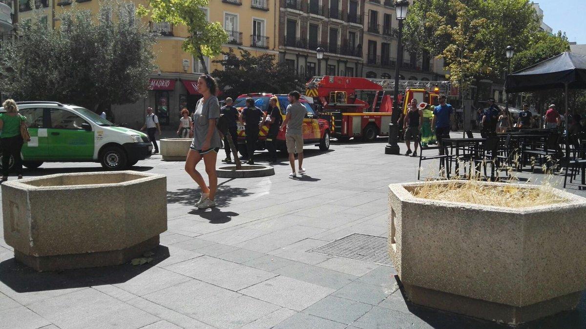 Madrid protege sus zonas peatonales con grandes maceteros para evitar actos terroristas