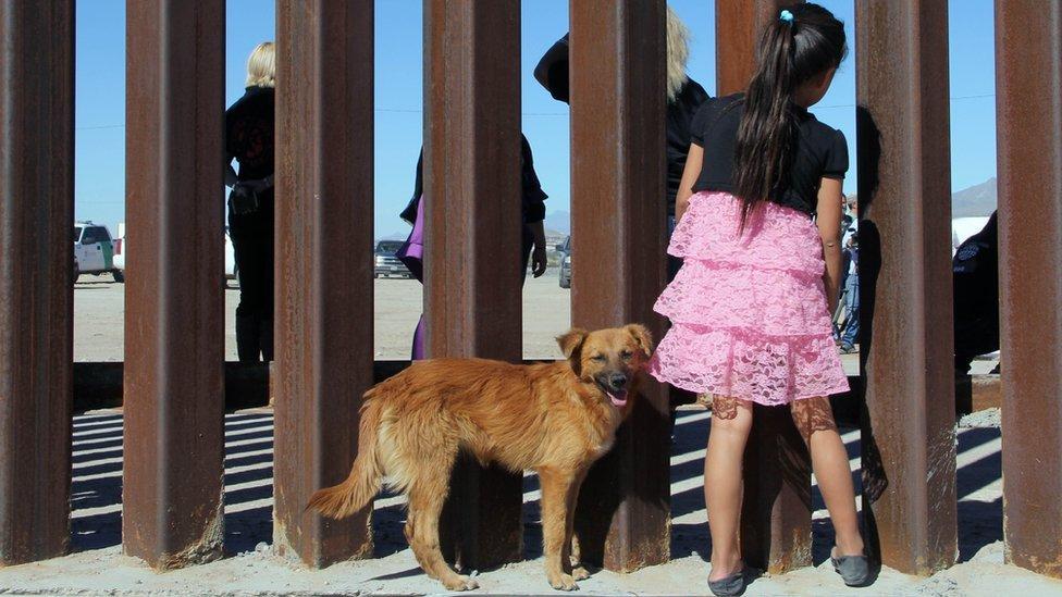 Muro de Trump: ¿Hay realmente una crisis en la frontera entre EU y México para declarar estado de emergencia?