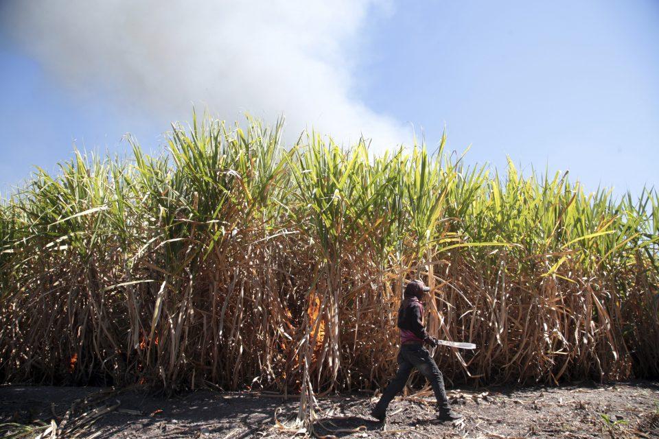 EU y México llegan a nuevo acuerdo azucarero, productores estadounidenses aún no lo respaldan