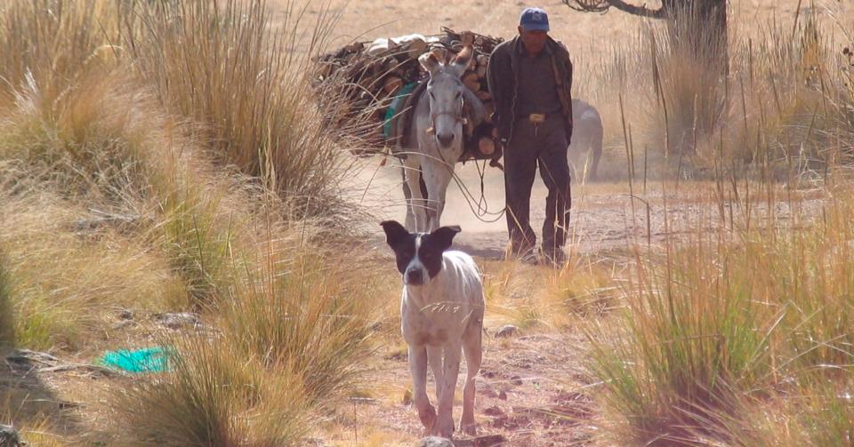 Casi 7 millones de mexicanos viven en pueblos aislados, sin servicios básicos: Conapo