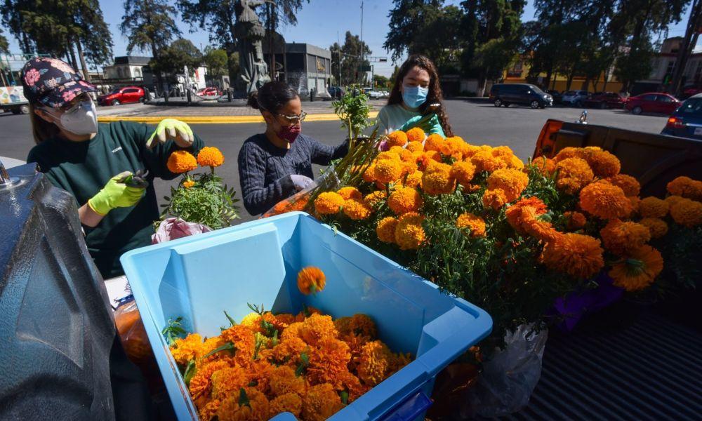 Dales una segunda vida: lleva tus *flores de cempasúchil a estos centros de acopio*