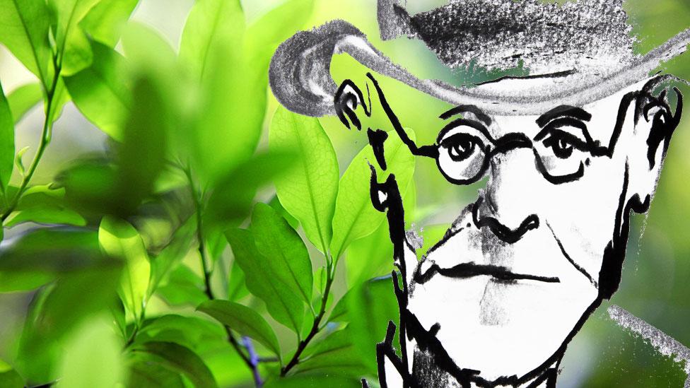 Cómo Sigmund Freud introdujo la cocaína en la medicina europea