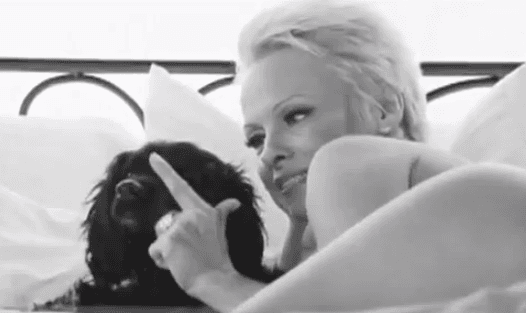 El <i>striptease</i> de Pamela Anderson para PETA