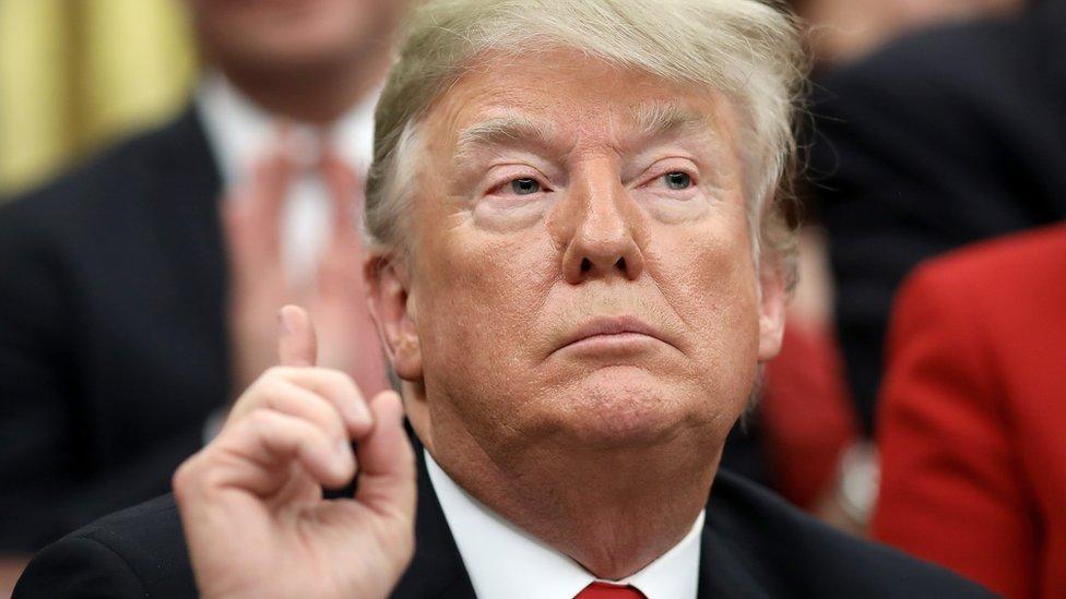 Cierre del gobierno: Estados Unidos paraliza parte de la burocracia tras la negativa del Congreso a financiar el muro fronterizo de Trump