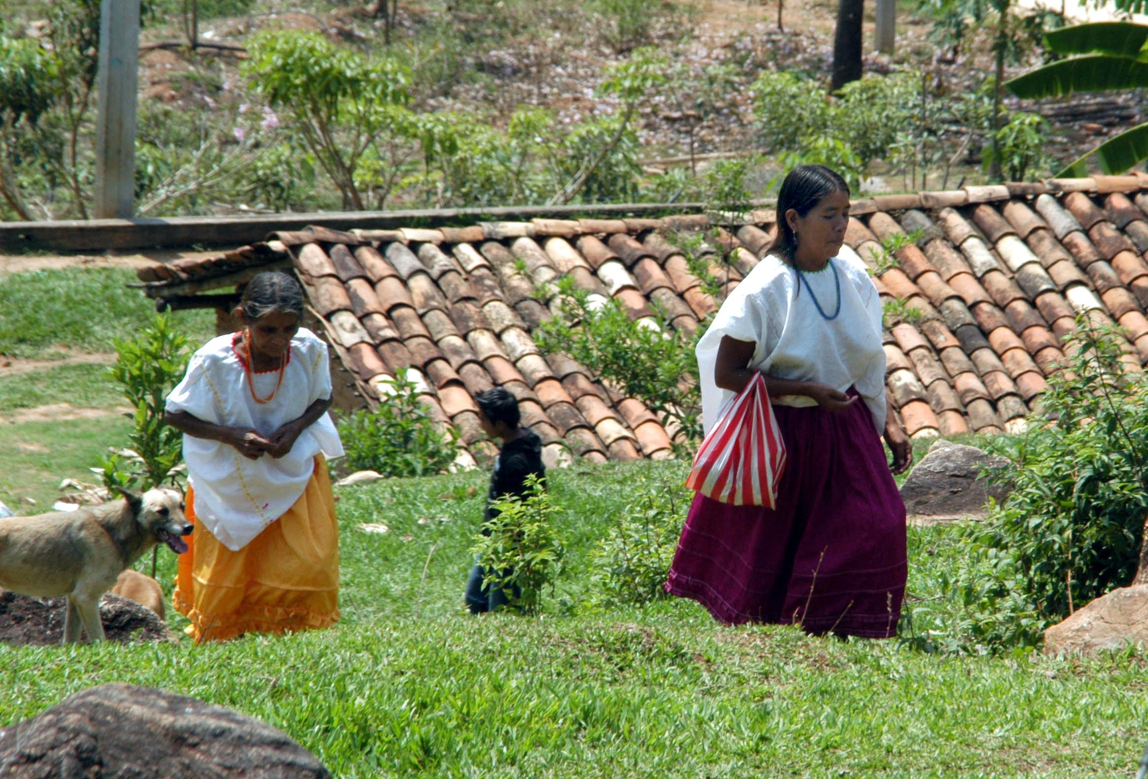 3 de cada 10 mexicanos relacionan a los indígenas con pobreza: Parametría