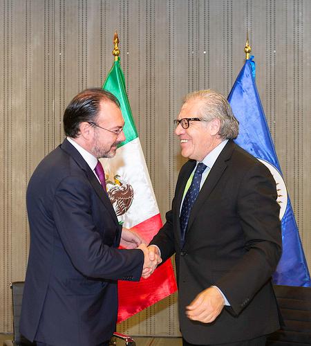 Ayudará la OEA a vigilar las elecciones presidenciales en México