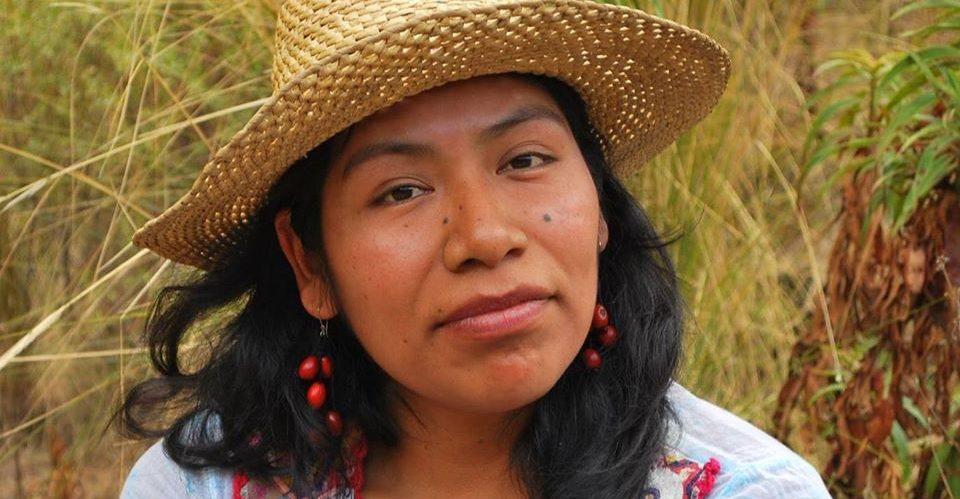 Denuncian desaparición de Irma Galindo, defensora indígena de los bosques en Oaxaca