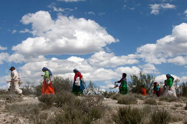 Minera canadiense cede al gobierno <br>sus concesiones en Wirikuta