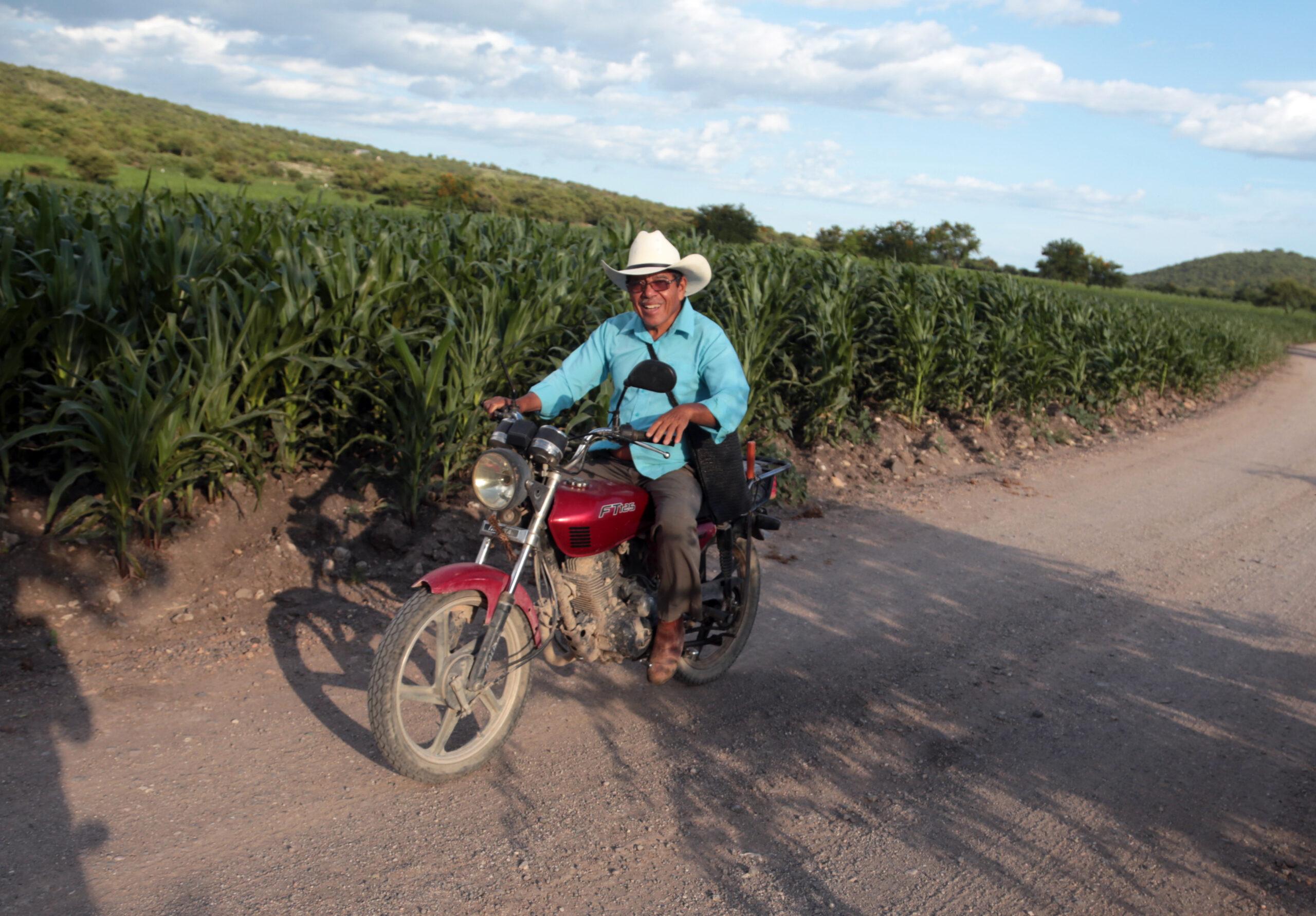 Agricultura promete emitir reglas de operación para nuevos programas de ayuda al campo