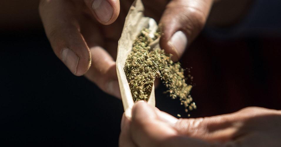 ¿Mariguana legal? Las fallas y obstáculos en el camino para regularizar la cannabis