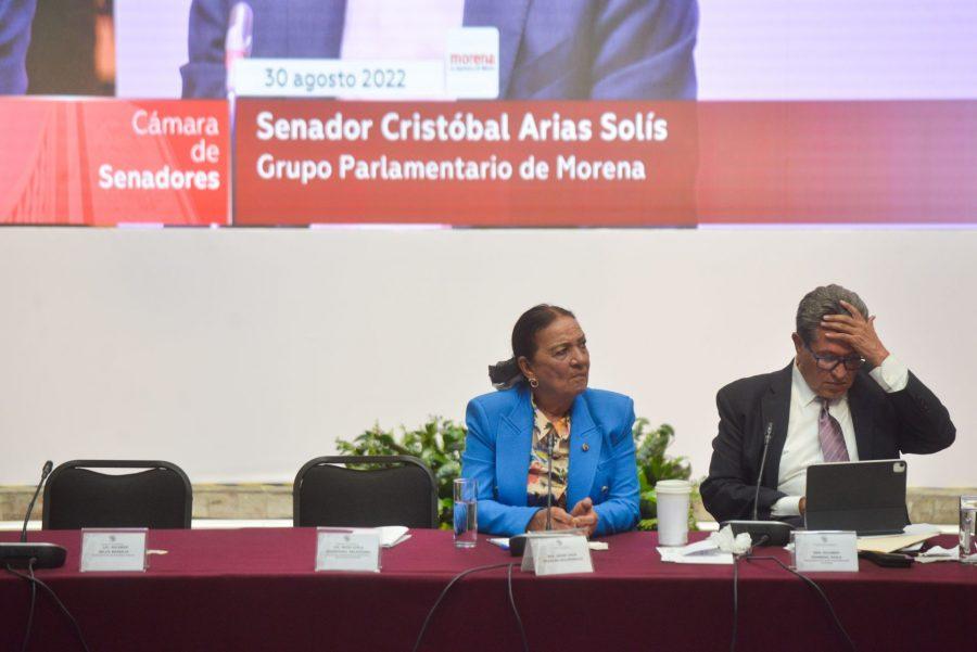 Secretarios de Estado plantan a Monreal y a senadores de Morena en su reunión plenaria