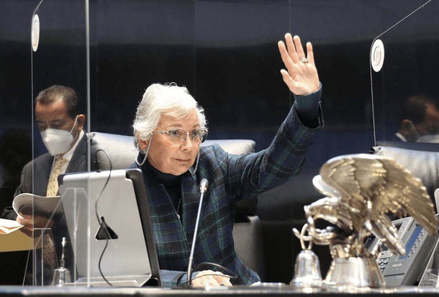 Iniciativa de Sánchez Cordero para “acompañamiento” a personas con discapacidad alerta a ONG; busca “que tengan más voz”, responde