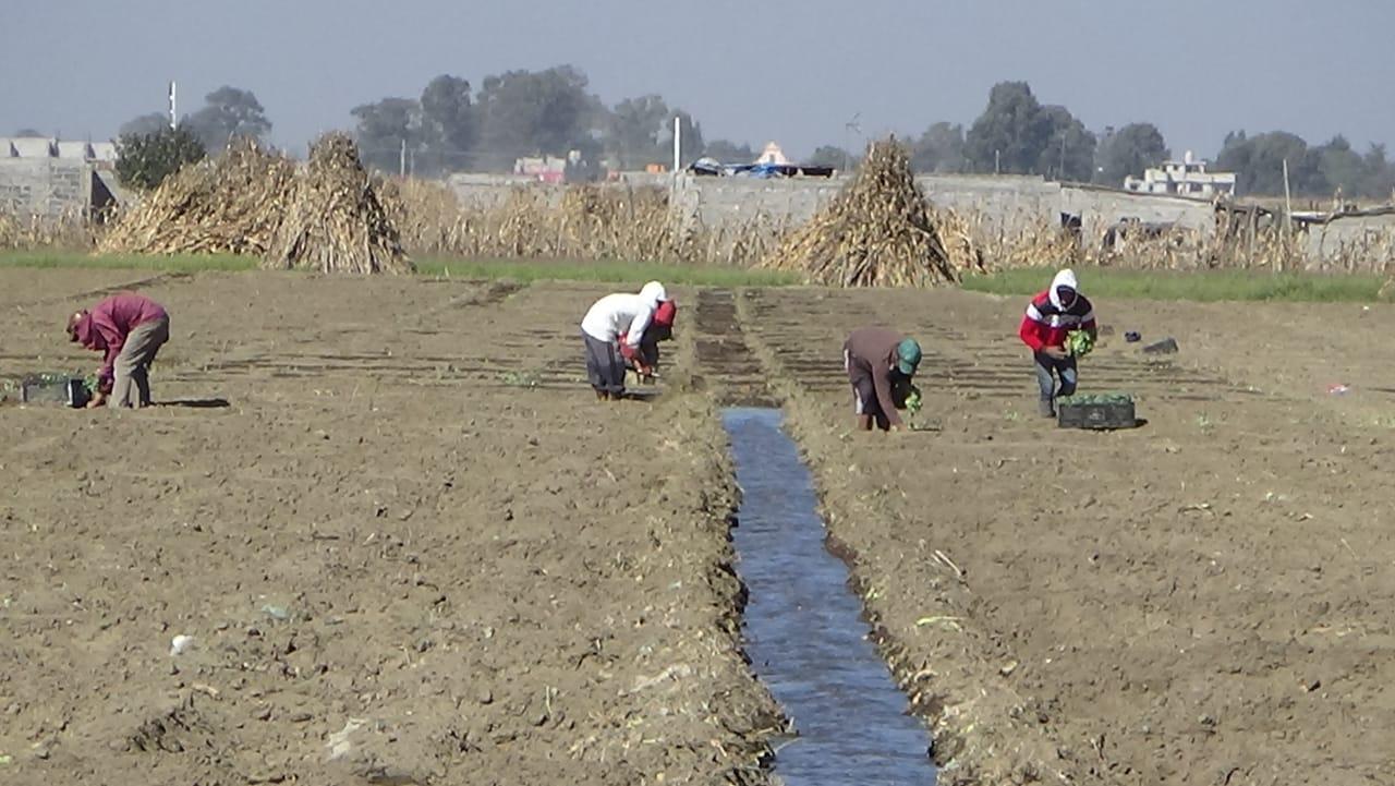 Sin agua, ni sanciones: Ejidatarios de Huitzilzingo acusan inacción del gobierno en planta de saneamiento