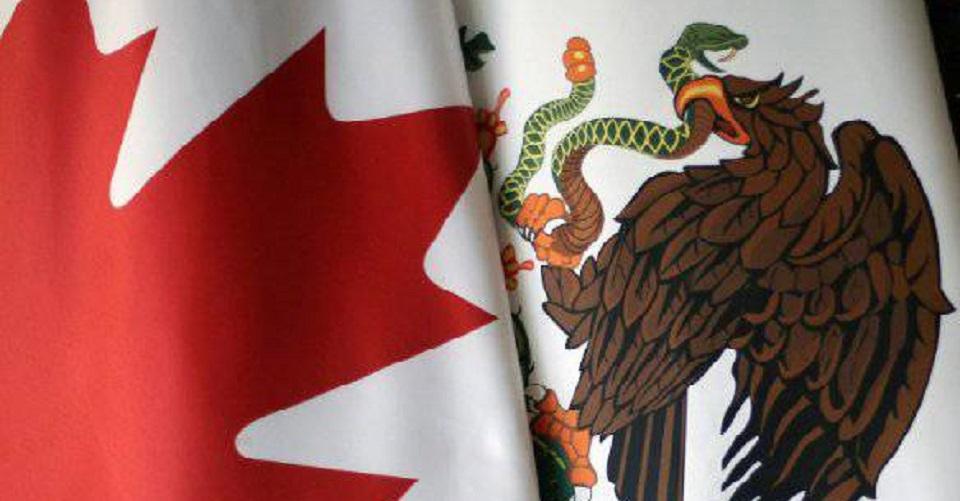 ¿Te dedicas al diseño web, enfermería, ingeniería? Canadá busca emplear a mexicanos en 12 áreas