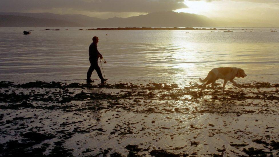 Qué es la marea de sizigia que se llevó el agua de las costas de México