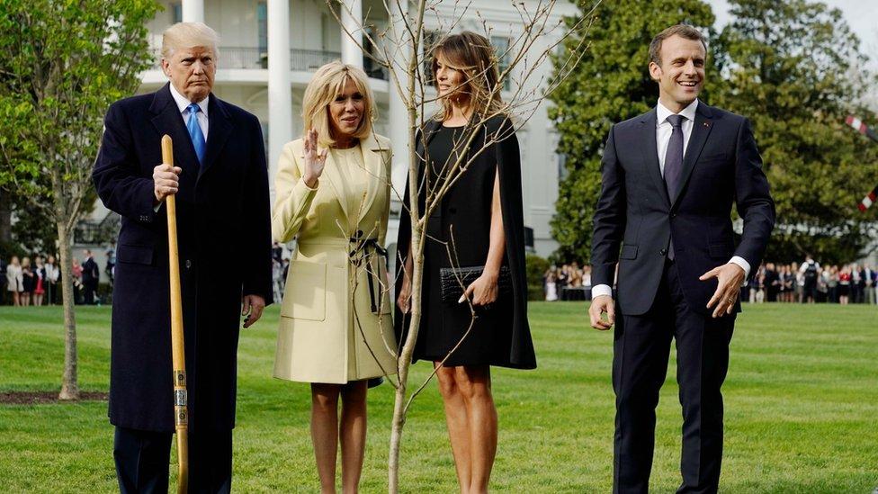 La misteriosa desaparición del árbol que el presidente francés, Emmanuel Macron, y Donald Trump plantaron en la Casa Blanca