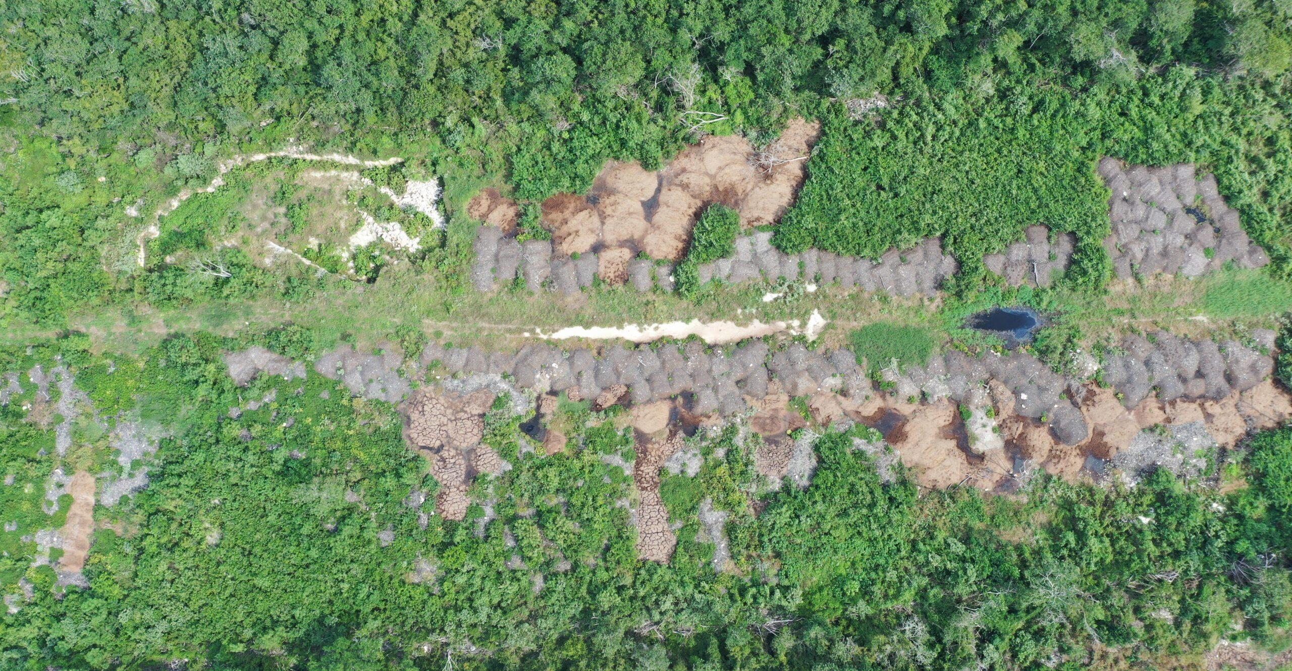 Cerros de excremento enferman a la población y contaminan cenotes en Hunucmá, Yucatán