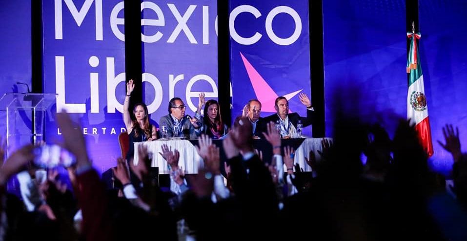 Comisión del INE avala registro de México Libre como partido, se lo niega a organización ligada a Gordillo