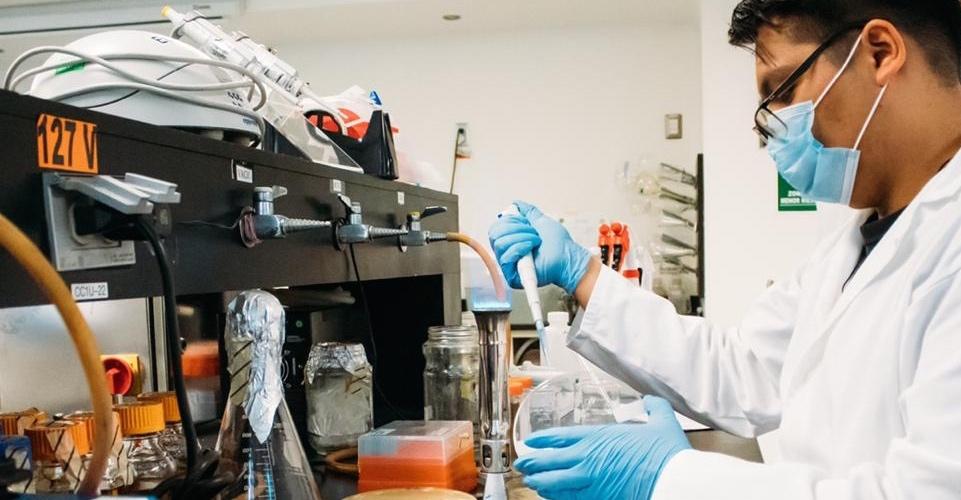 IPN desarrolla ventiladores, pruebas y materiales para ayudar a pacientes por COVID-19