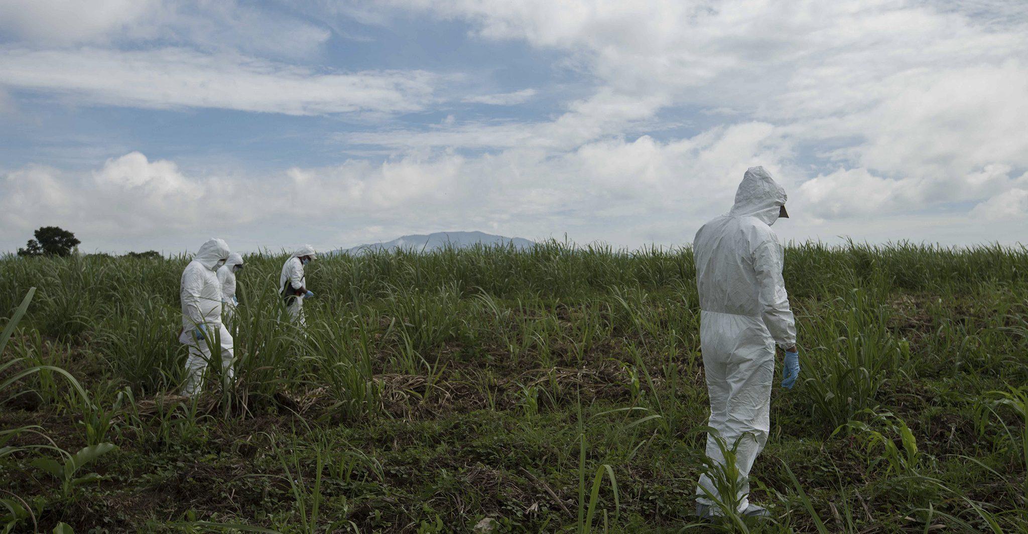 México, el país de las fosas clandestinas: en 11 años suman casi 2 mil hallazgos, revela investigación