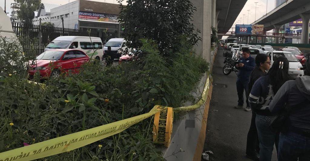 Hallan mariguana plantada en Periférico a la altura de Naucalpan