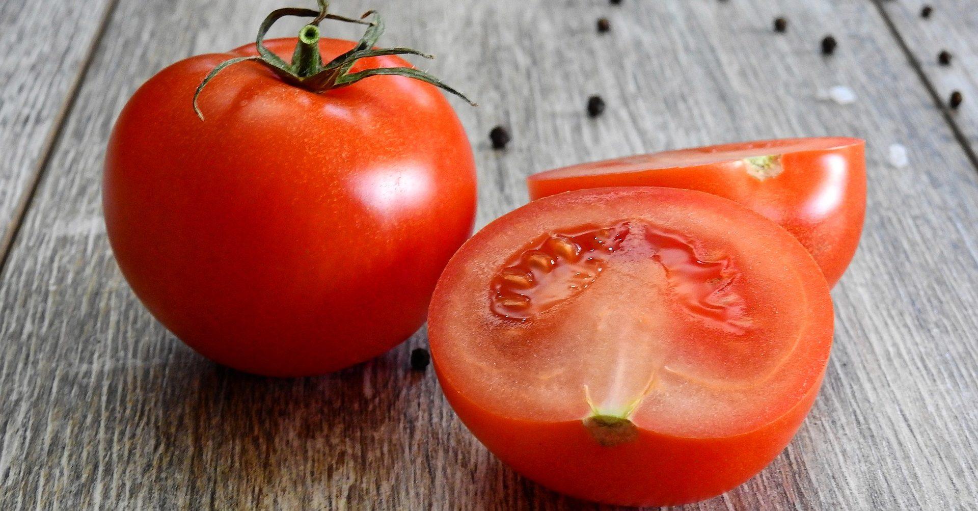 Productores mexicanos de tomate deberán pagar impuesto para exportar a EU