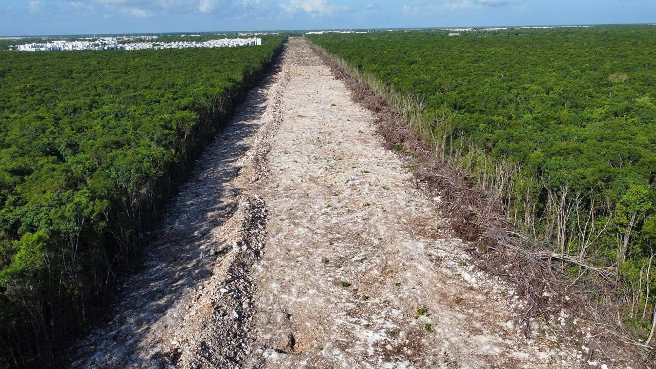 El colectivo #SélvameDelTren pide ayuda a la Unesco para frenar la construcción del tramo 5 del Tren Maya