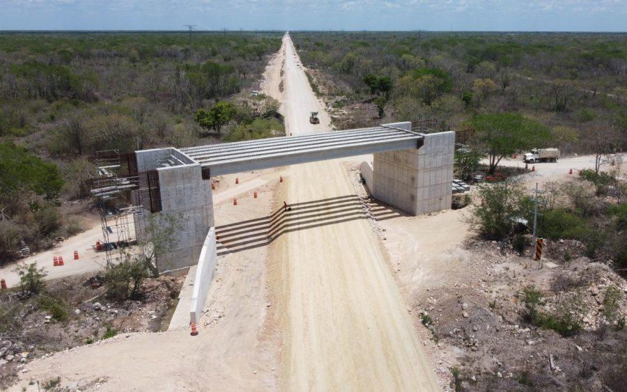 Obras sin permiso, daños a la selva y afectación a especies protegidas, las claves de la demanda contra el Tren Maya