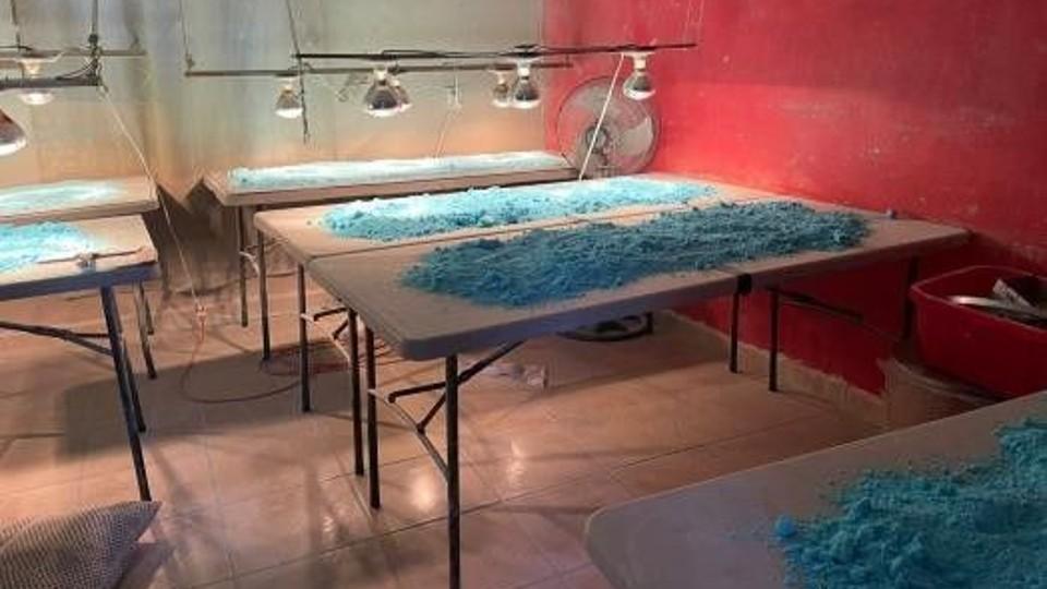 Los hermanos Zamudio, la red mexicana a la que EU acusa de producir fentanilo para el Cártel de Sinaloa