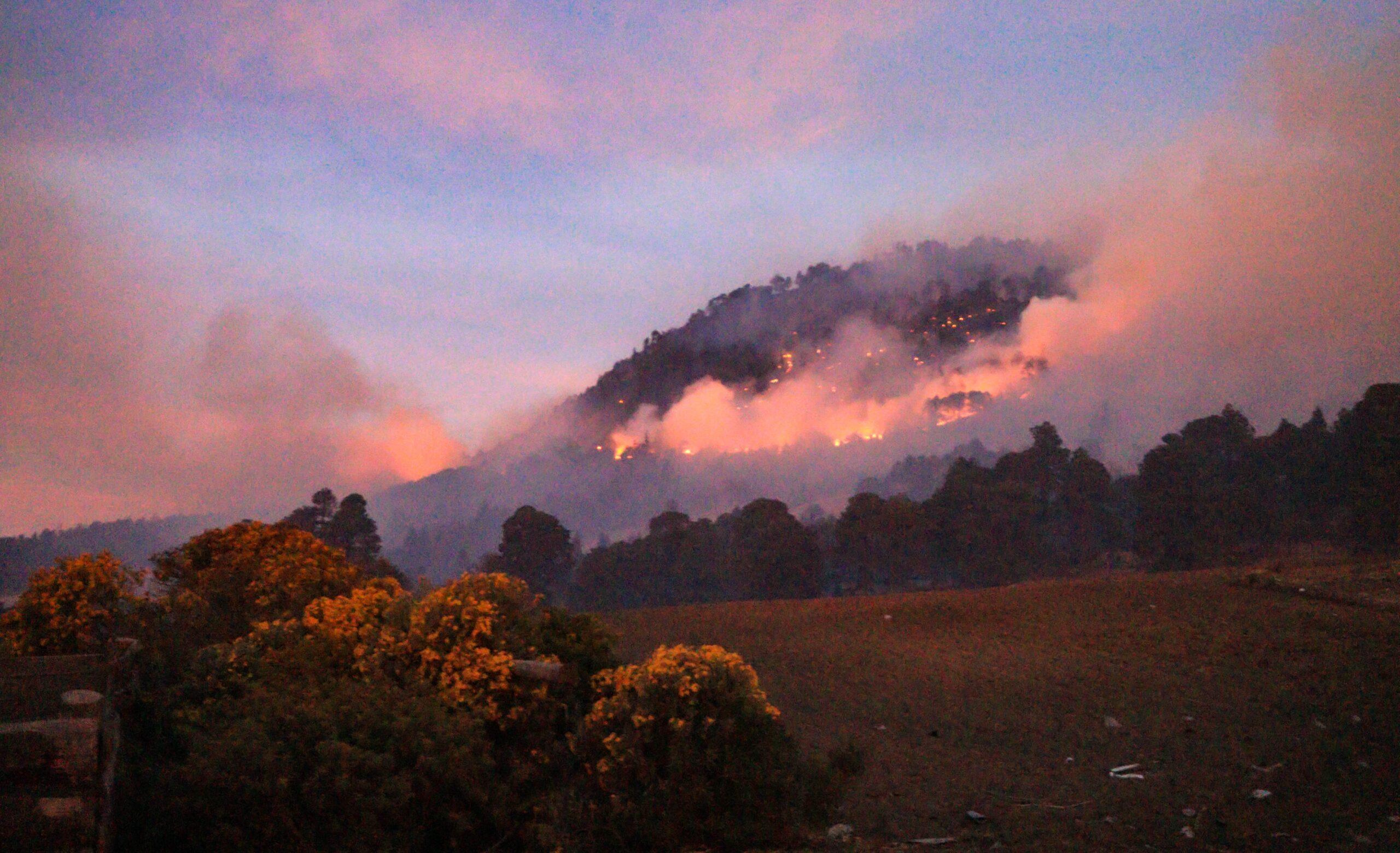 México: las 250 hectáreas dañadas por el fuego en el Pico de Orizaba anuncian una intensa temporada de incendios forestales