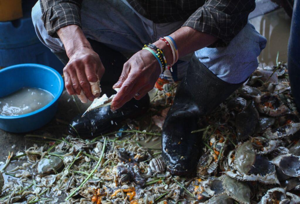 Gobierno de Baja California Sur alerta por consumo de moluscos a causa de una toxina