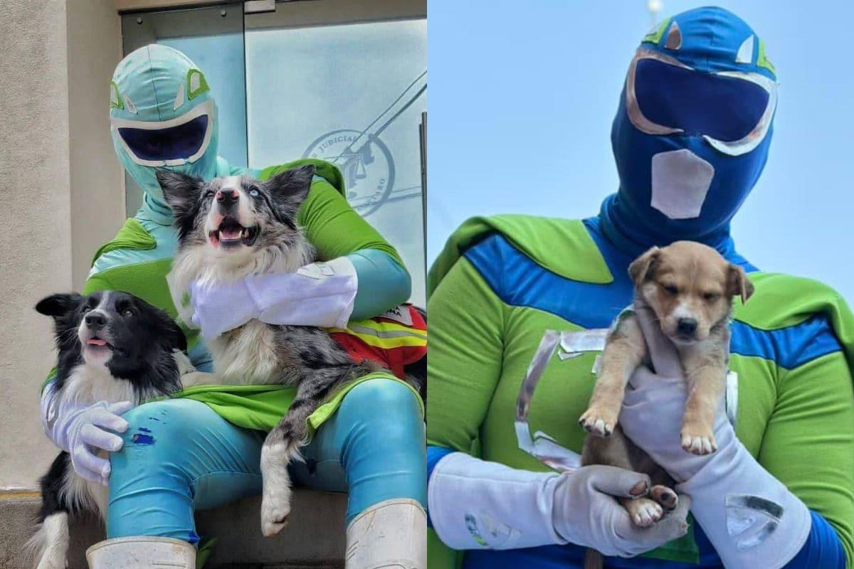 ¡Zadrigman al rescate! Conoce al superhéroe mexicano que rescata perritos de la calle