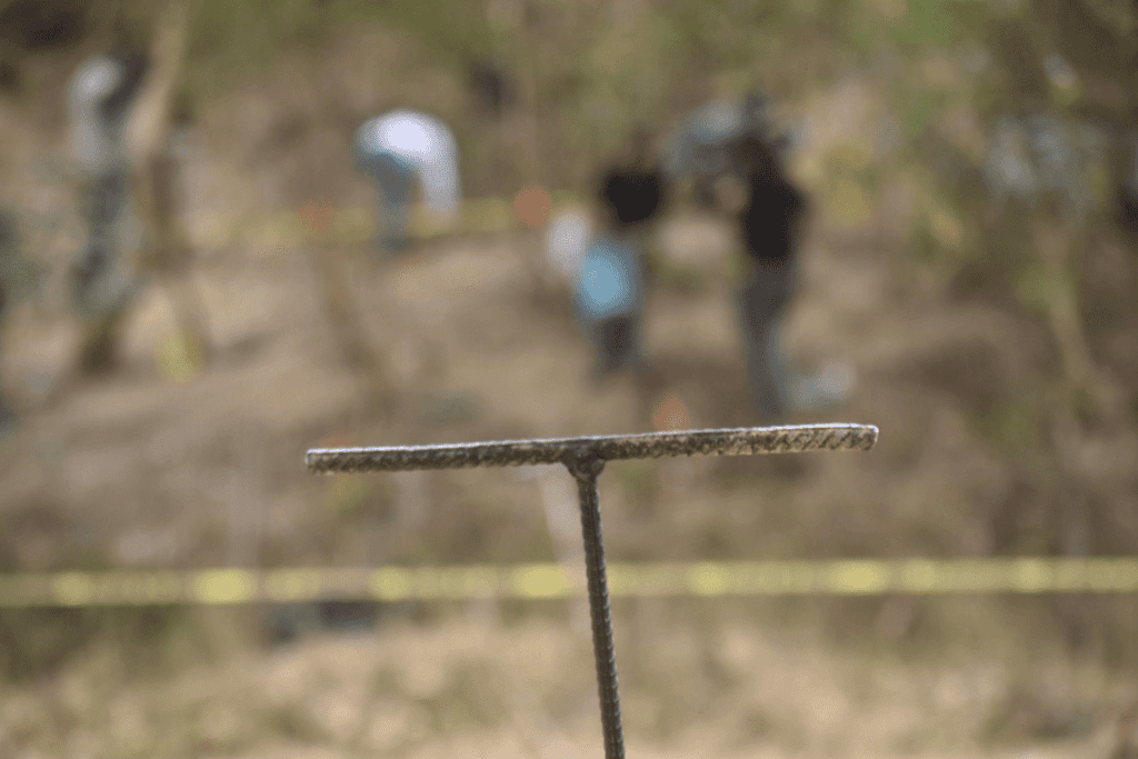 Colectivo encuentra 15 cuerpos en fosas clandestinas en Mexicali, Baja California