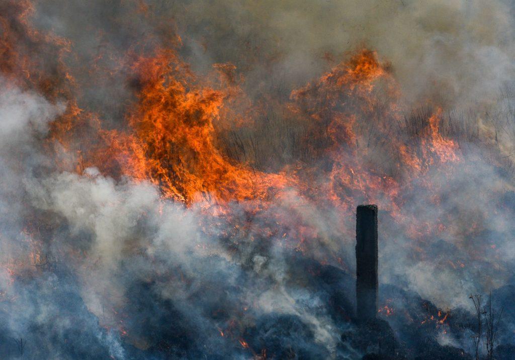 Cambio climático y negligencia: posibles factores que contribuyeron a los incendios en Hawái 